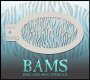 BAM3009