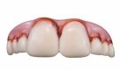 Billy Bob Teeth | Megabucks