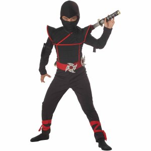 Stealth Ninja | Large