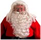 Ultra Deluxe Santa Wig and Beard