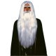 Merlin Wig and Beard