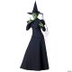 Deluxe Wicked Witch | Large