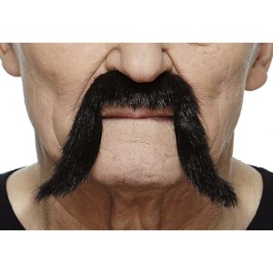 Horseshoe Moustache | Black