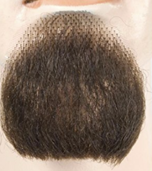 Goatee | Chestnut Brown