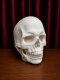 Full Face Skull Headpiece