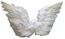 White Feather Wings