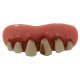 Billy Bob Teeth | Caveman Cavity