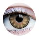 Primal Contact Lenses | Delightful Honey
