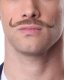 Handlebar Moustache | Blonde