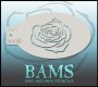 BAM3008