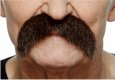 Bushy Walrus Moustache | Brown and Red