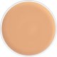 DermaColour Large D4 1/2