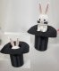 Appearing Bunny