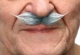 Small English Moustache | Grey and White