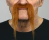 Auburn handlebar Moustache