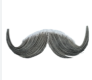 Barbershop Moustache | Grey